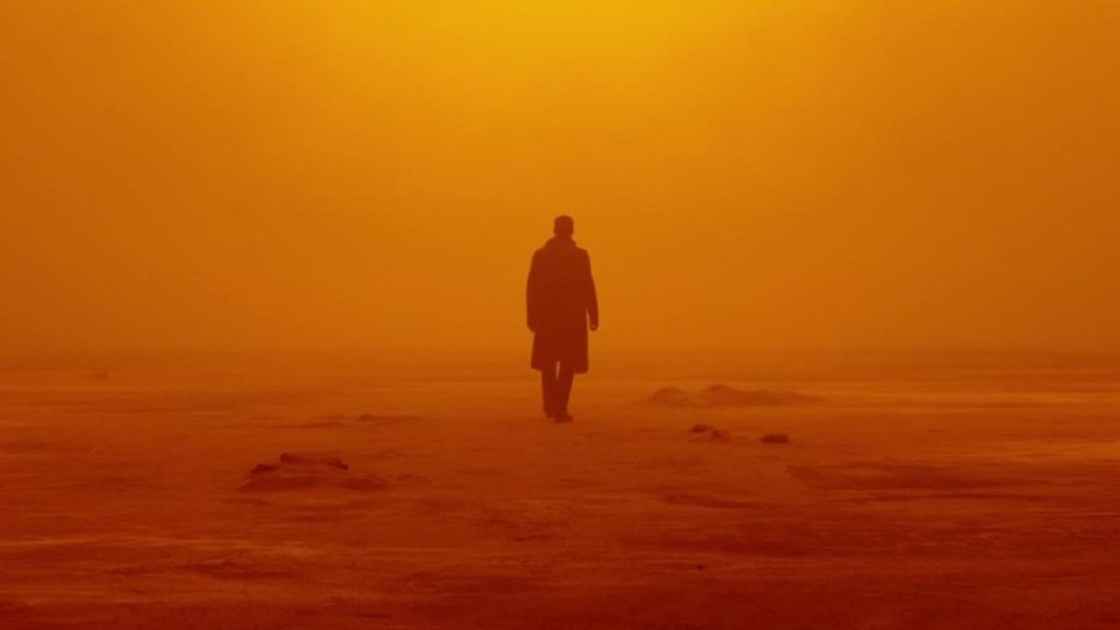 2049