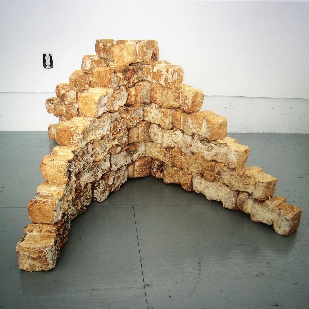 When properly grown, mushrooms can be hard enough to be turned into bricks. (Credit: MycoWorks)