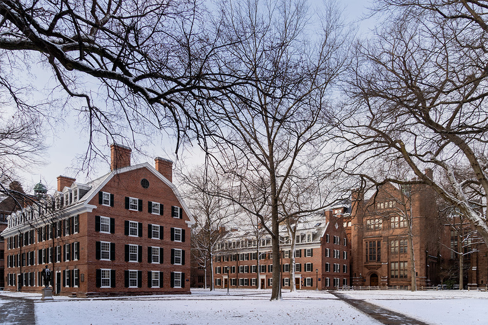 Yale 's chief endowment officer diversified the university's portfolio into real estate, as much as 20 percent in some years. (Credit: Yale University) 