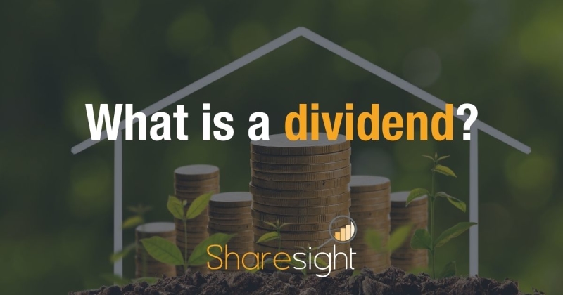 What is a dividend (1)