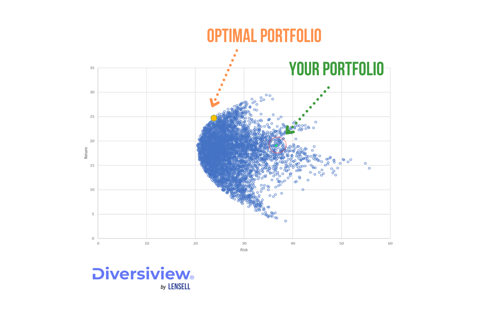 Diversiview portfolio2