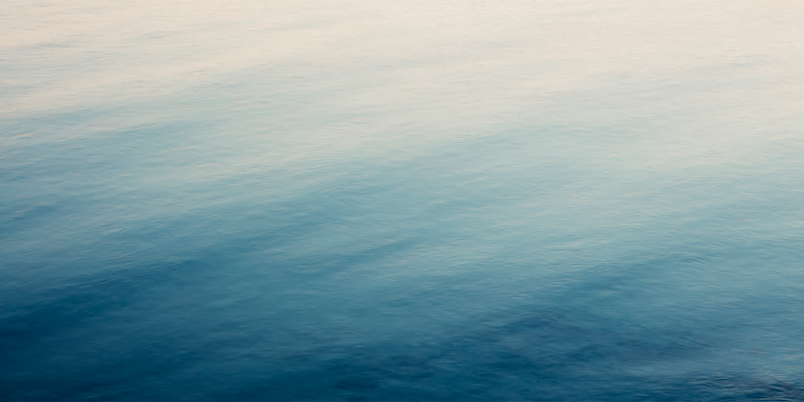 Flexport CEO and Ashton Kutcher blog 12-17-20