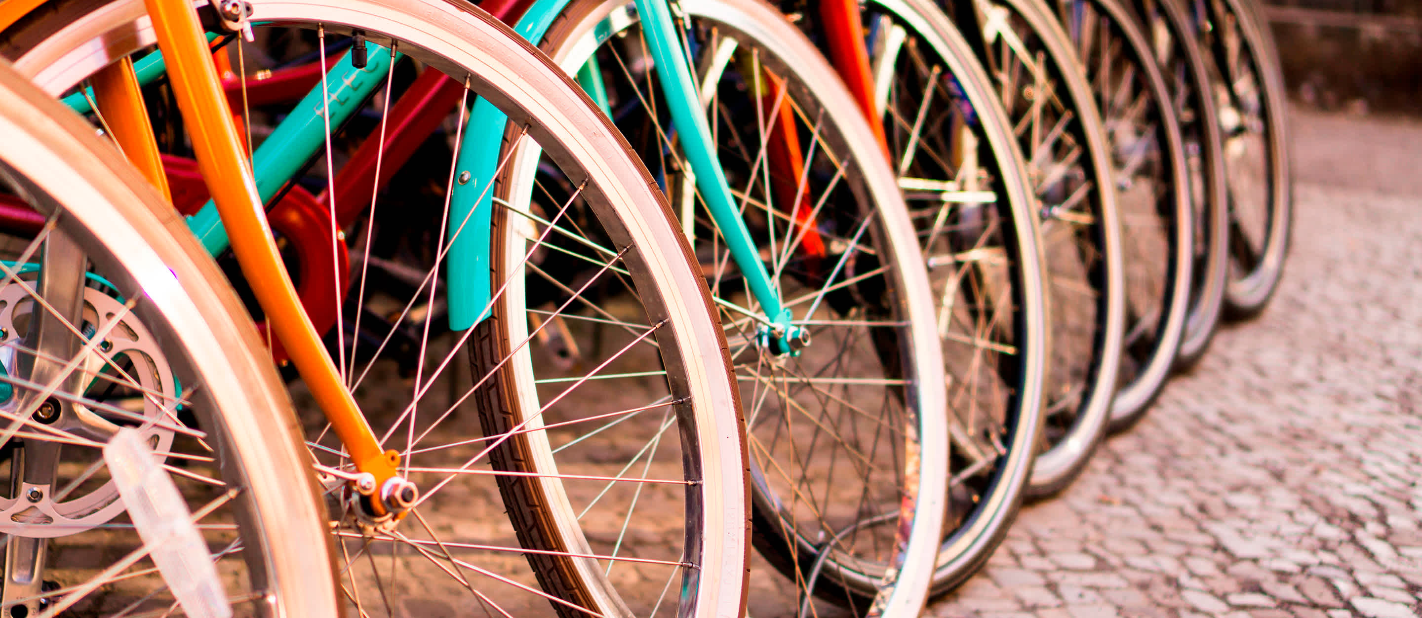 With Flexport Capital, Solé Bicycles frees up cash to focus on growth