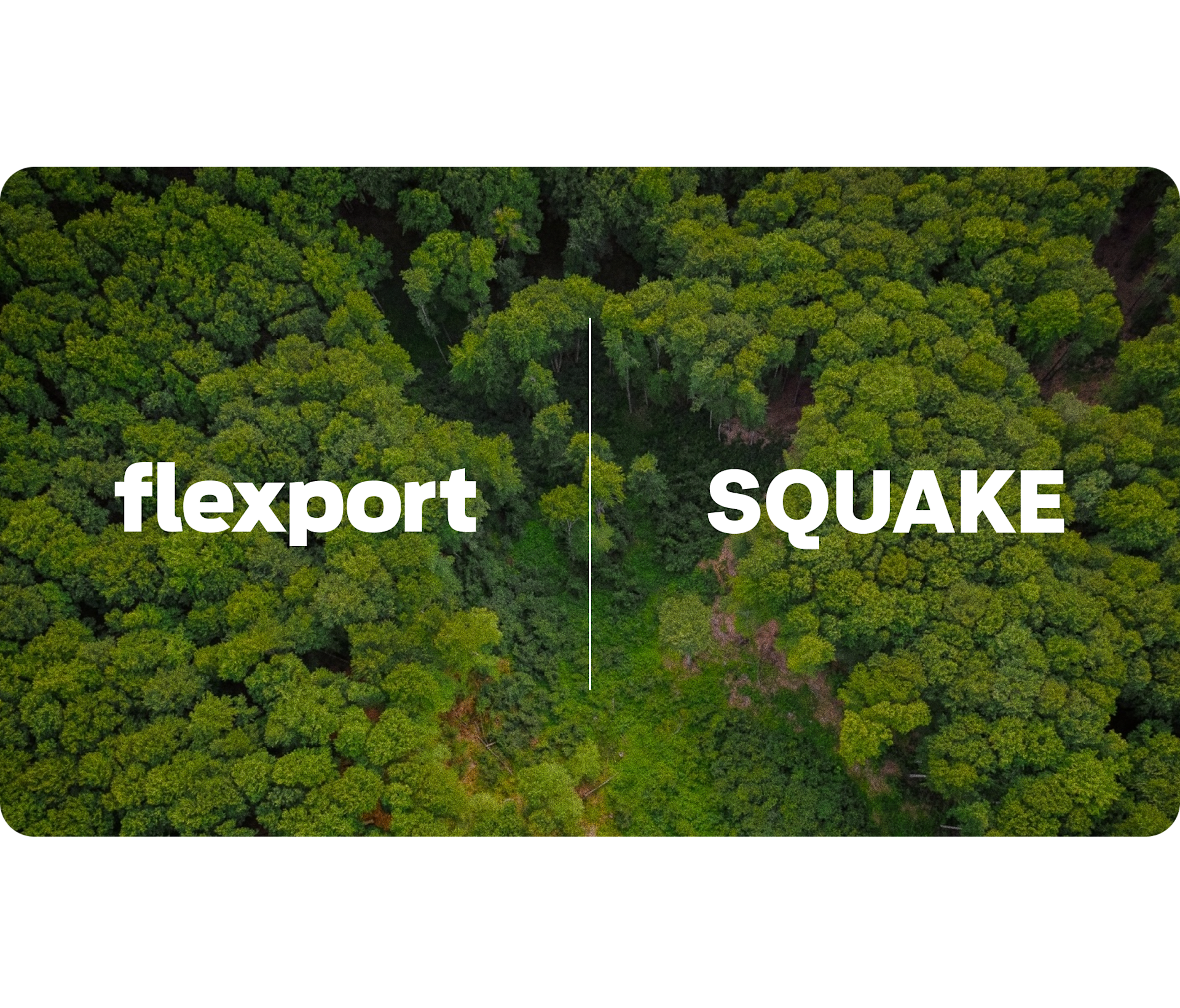 Carbon Offset offerings and specific programs | Flexport