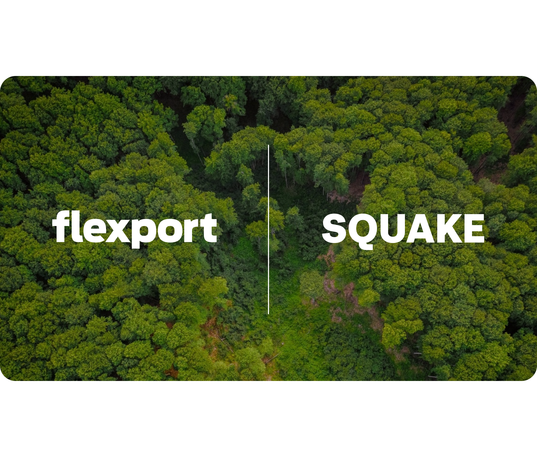 Carbon-Offsets-Info img header 3x