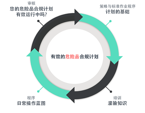 dg-effective-program CN