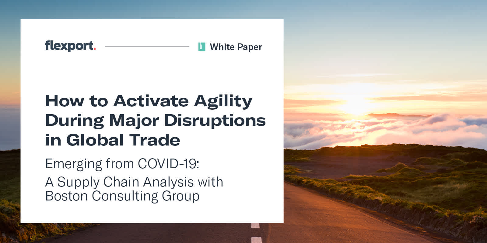 BCG Agility During Disruption White Paper
