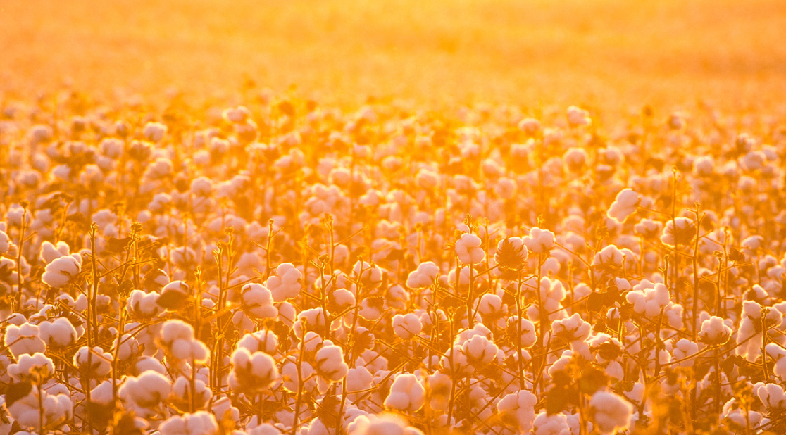 build-tracable-supply-chain-3x