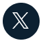 X (Twitter)