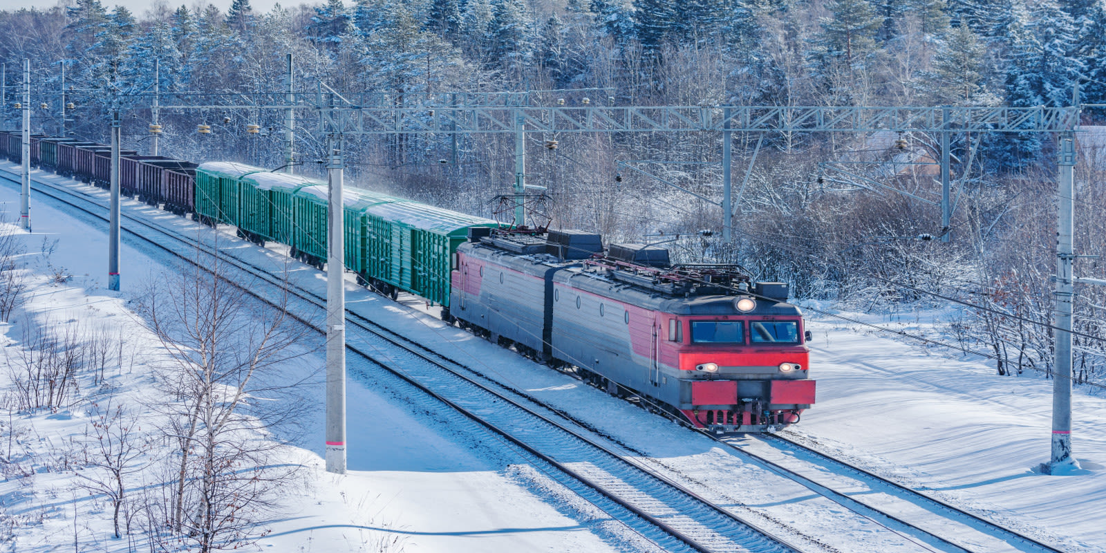 supply chain snapshots week 12