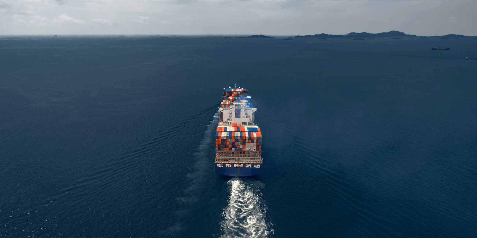 Latest-What-Storm-04