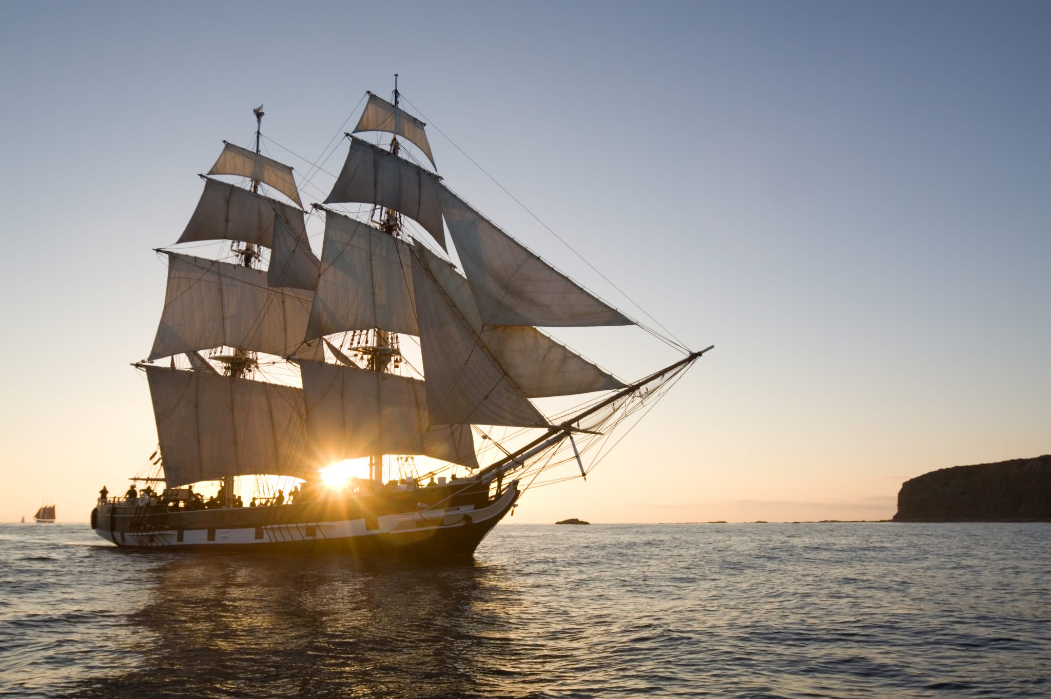 Pirates and Their Parrots