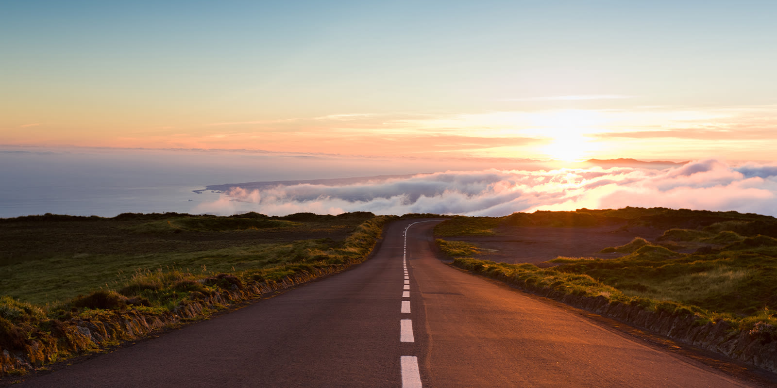 Flexport and Boston Consulting Group provide an analysis of supply chain lessons learned from the pandemic and how to emerge stronger and more resilient.