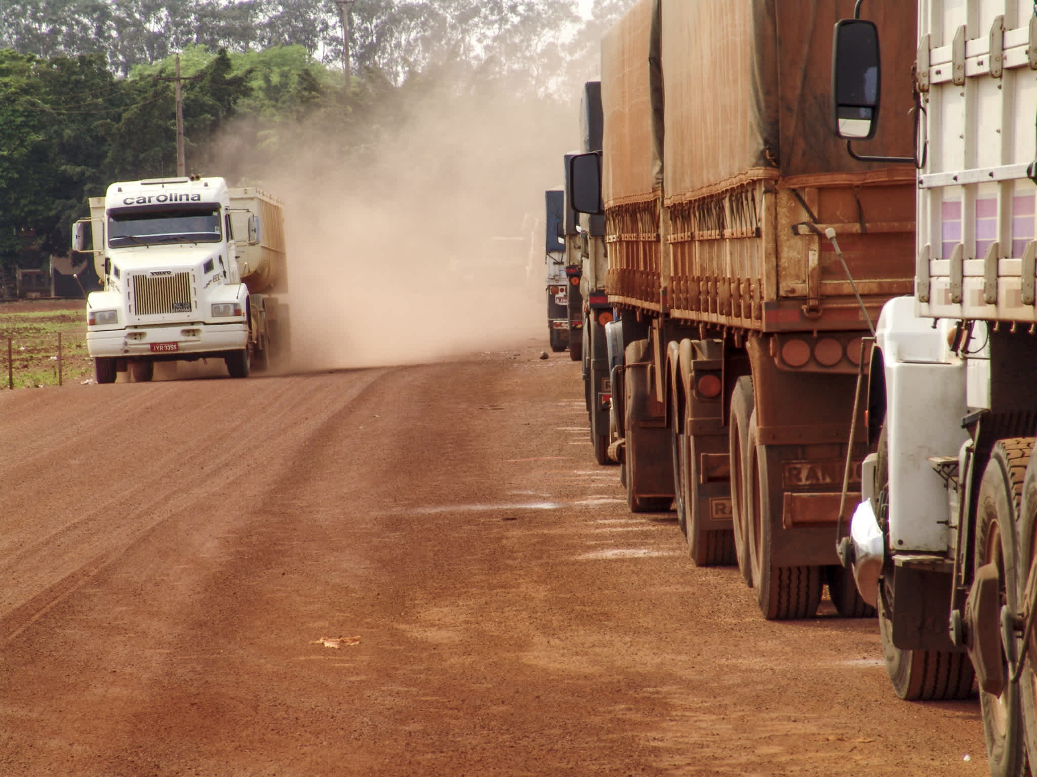 How Brazilian crude oil prices killed 100 million chickens