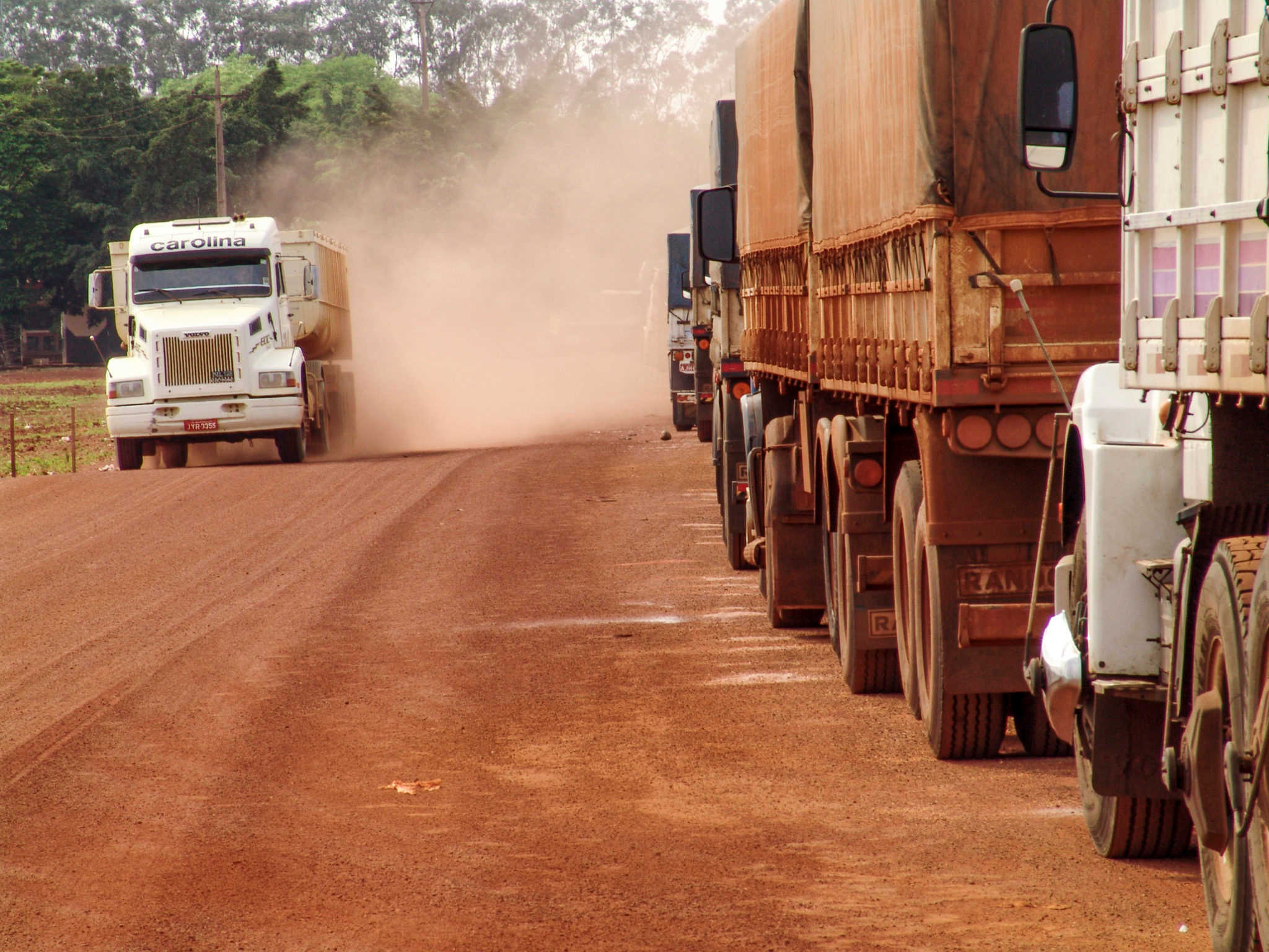 How Brazilian crude oil prices killed 100 million chickens