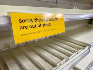 Sorry, these products are out of stock