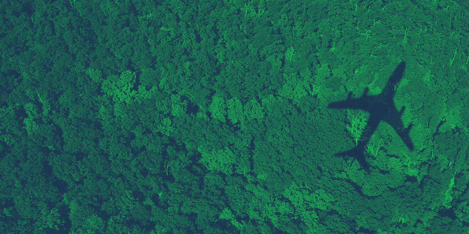 Carbon removal initiative makes it easier for businesses to invest in lowering emissions.