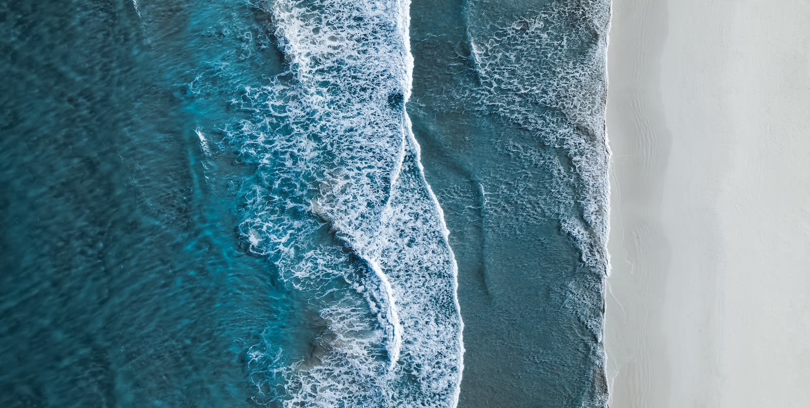 Flexport.org Climate Milestones 2023 Blog Header Image