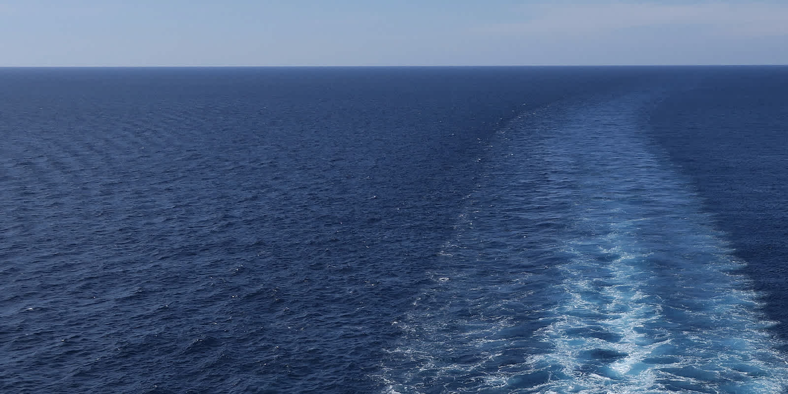 Taking Stock of 2020: Supply Chain Lessons Learned