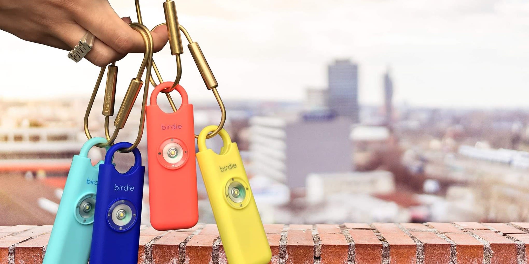 Shes Birdie and Flexport Case Study Header Image