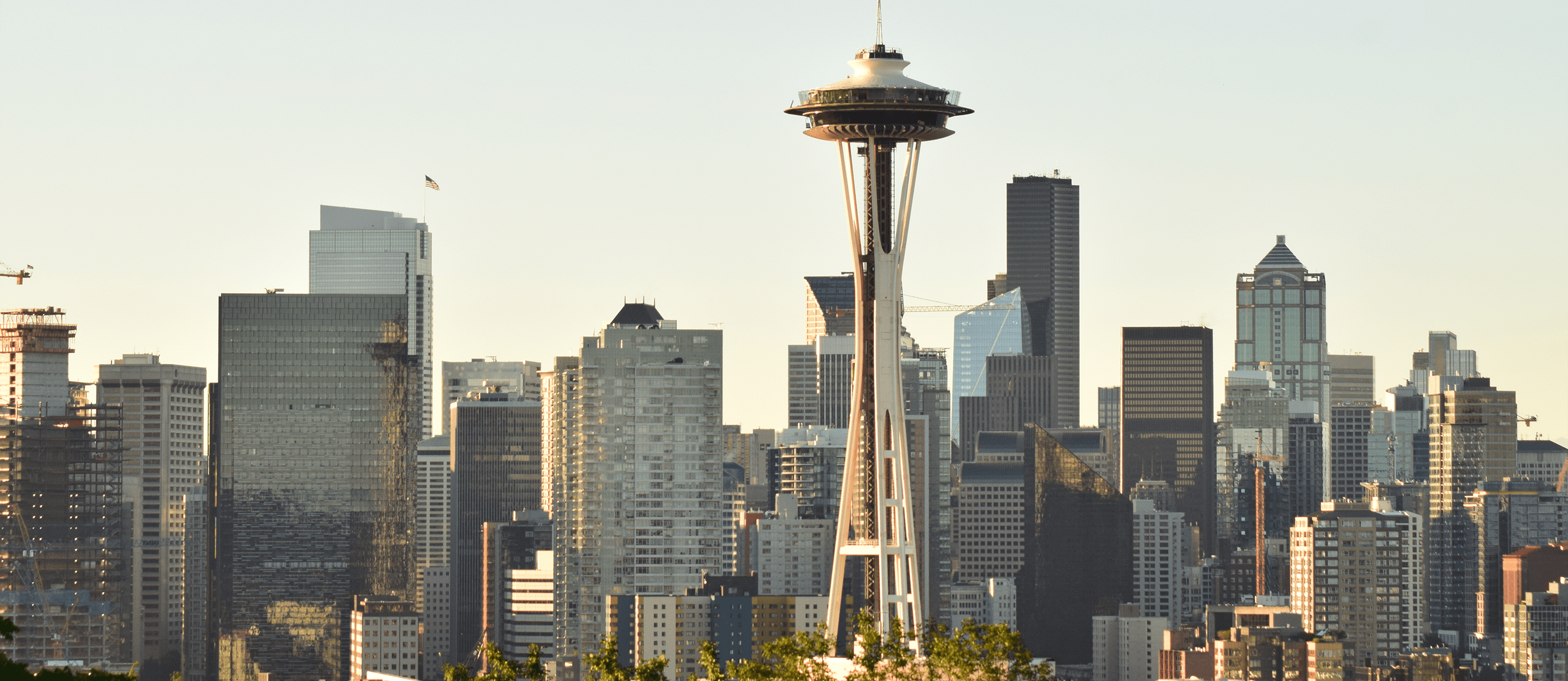 Seattle Hero
