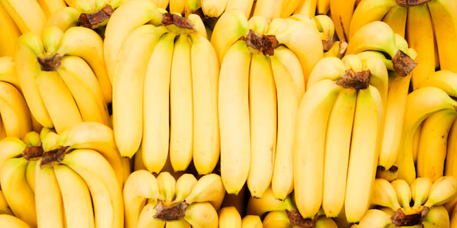 Tales from the Supply Chain: Why the Bananas You Love May Go Extinct (Again)