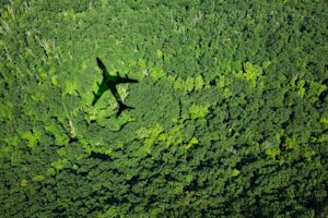 Aerial view of a cargo plane shadow cast over a lush green forest canopy