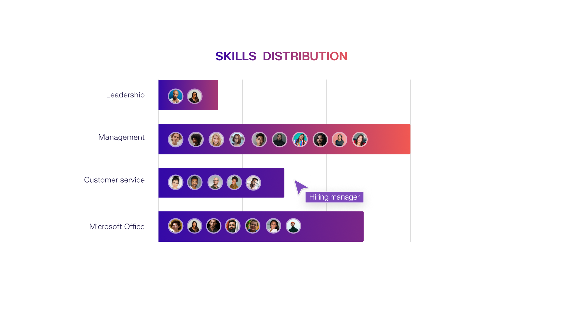 Diagram - Skills Distribution 