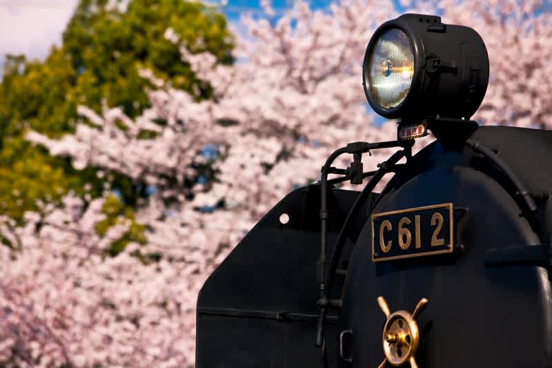 大井川鉄道周辺の子連れにおすすめの宿泊施設9選 ホテルや民宿に泊まってトーマスに会いに行こう 日本温泉百貨