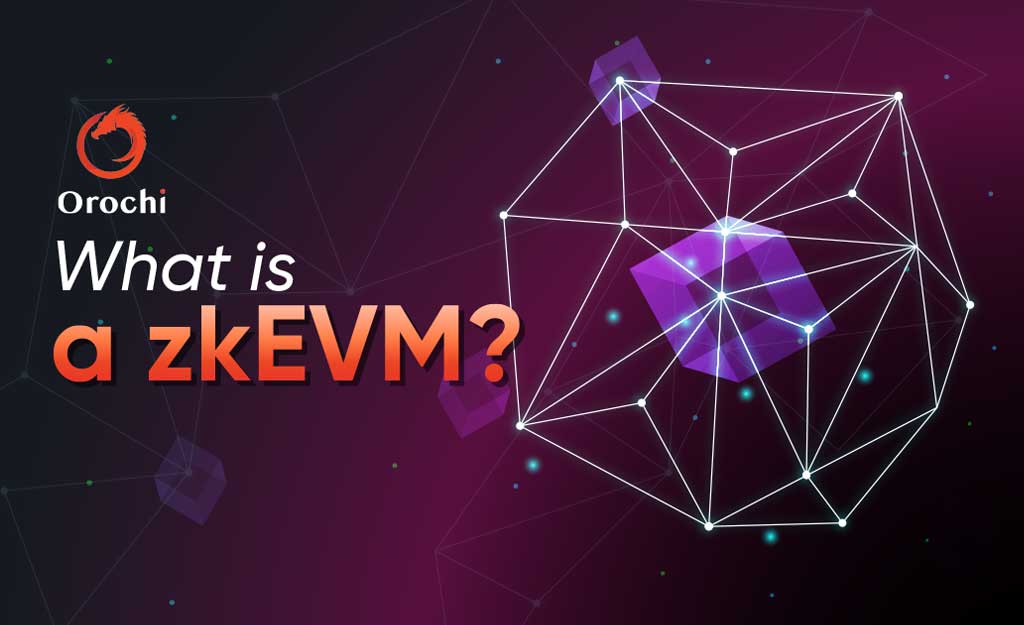 What Is a zkEVM