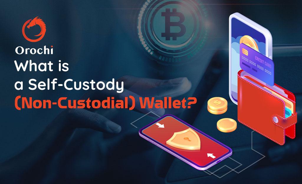 What is a Self-Custody (Non-Custodial) Wallet?