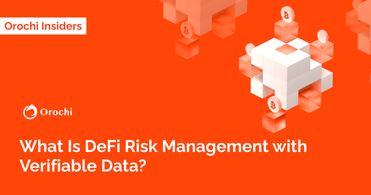 What Is DeFi Risk Management with Verifiable Data? | Orochi Network
