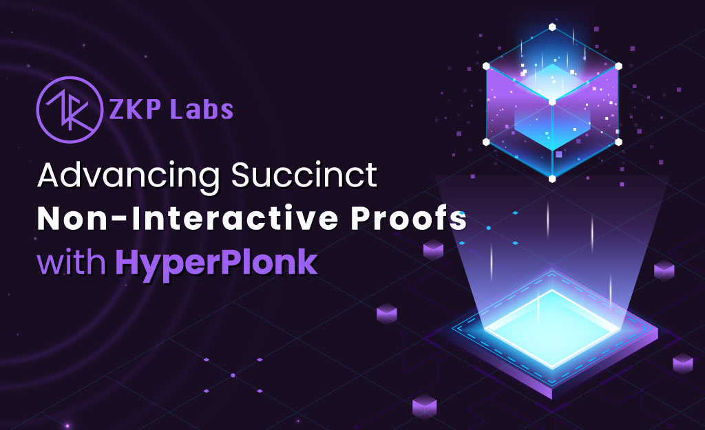 Advancing Succinct Non-Interactive Proofs with HyperPlonk