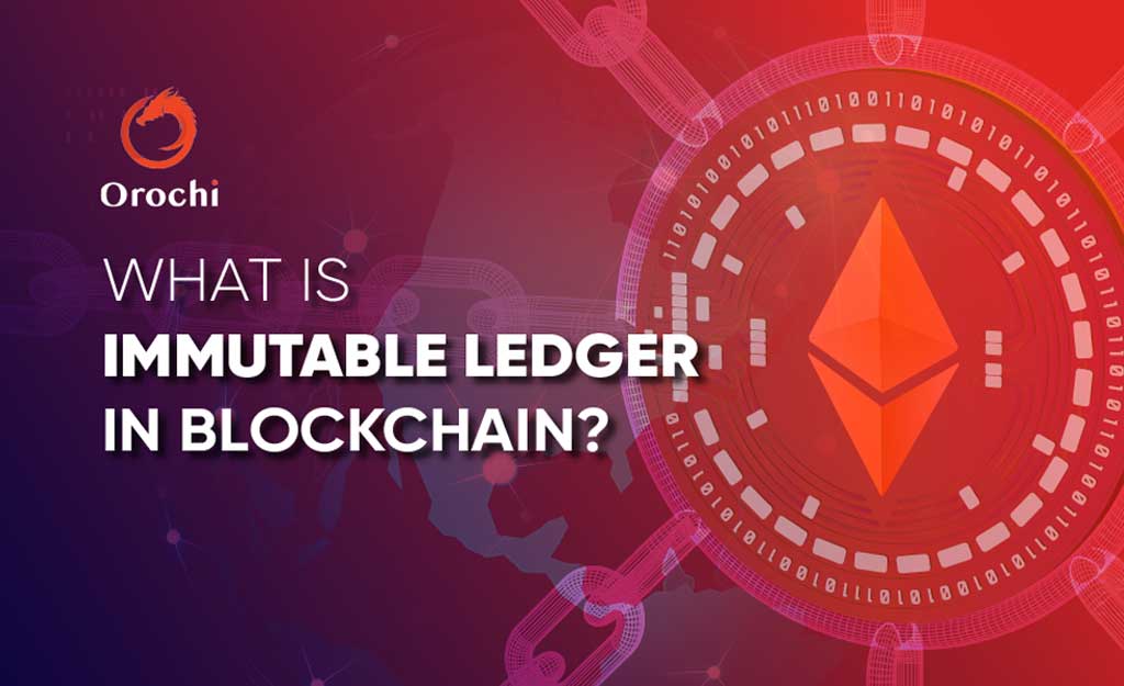 What is immutable ledger in Blockchain