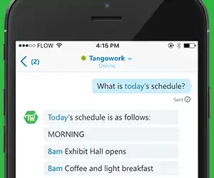 chatbot-screenshot-square-on-green-300x250