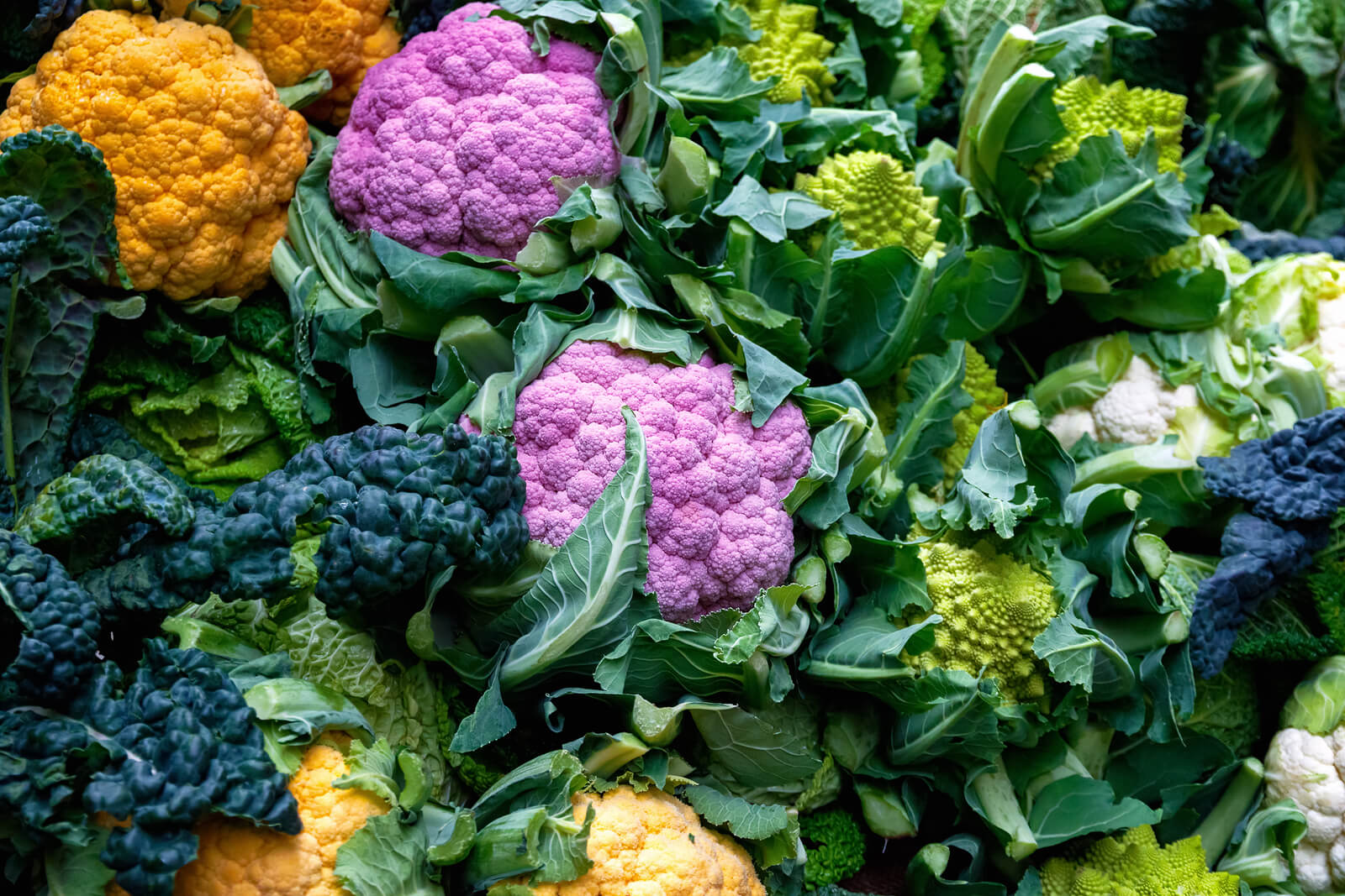 Broccoli vs. Cauliflower Which Should You Choose for Health?