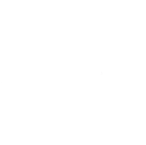 SmarTrad Logo