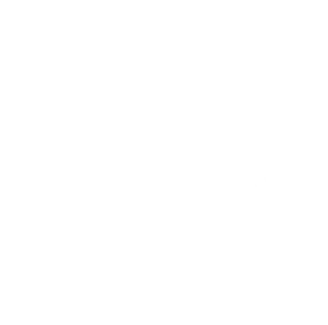 NexHeal Logo
