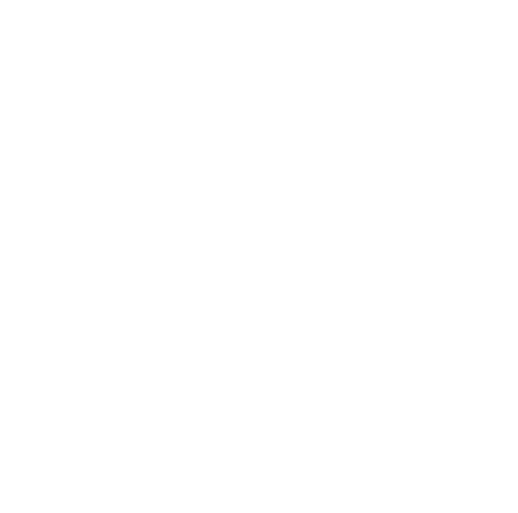 SupTop Logo