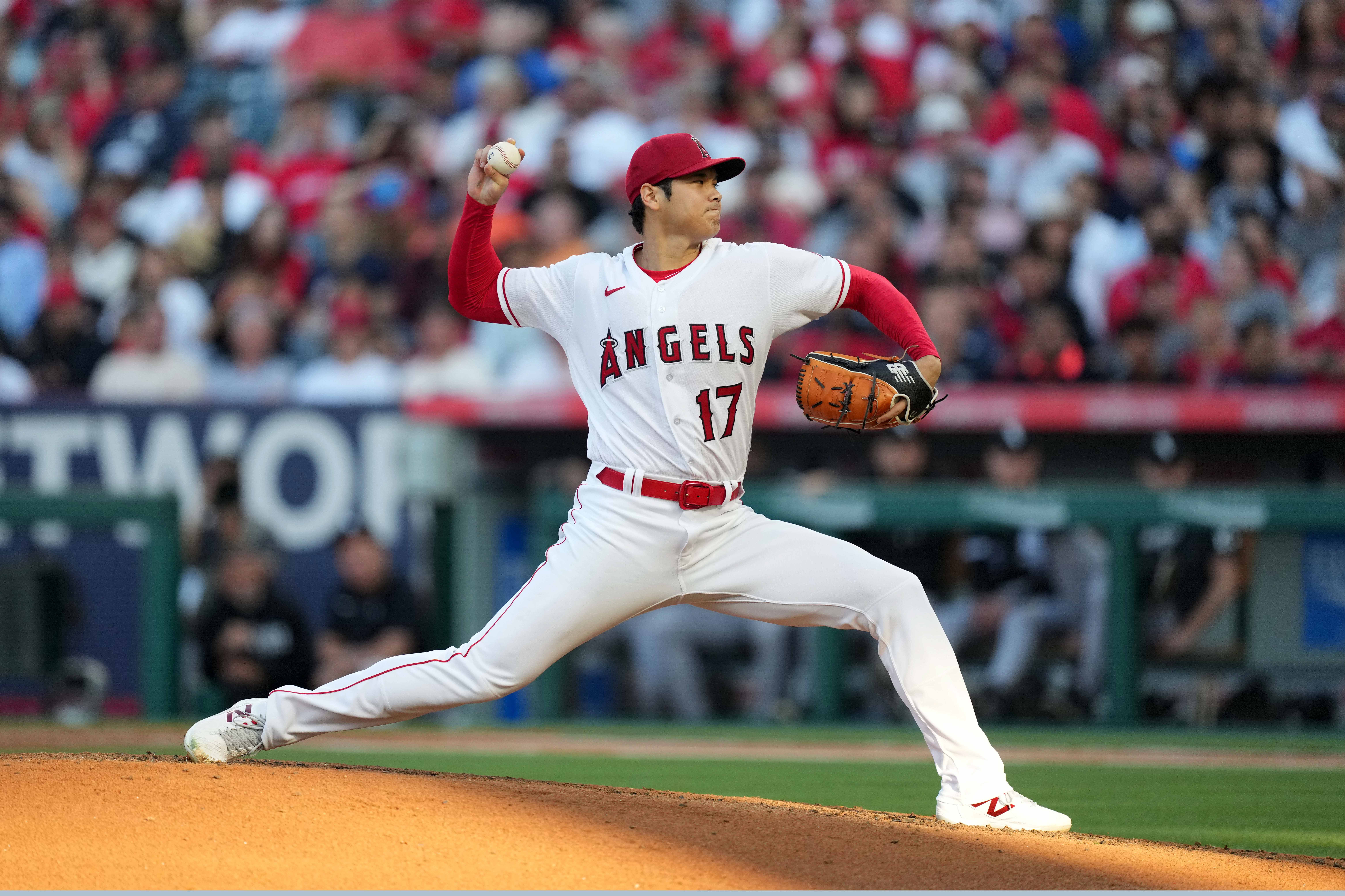Rays will make a call on Shohei Ohtani. But a deal? Don't count on it.