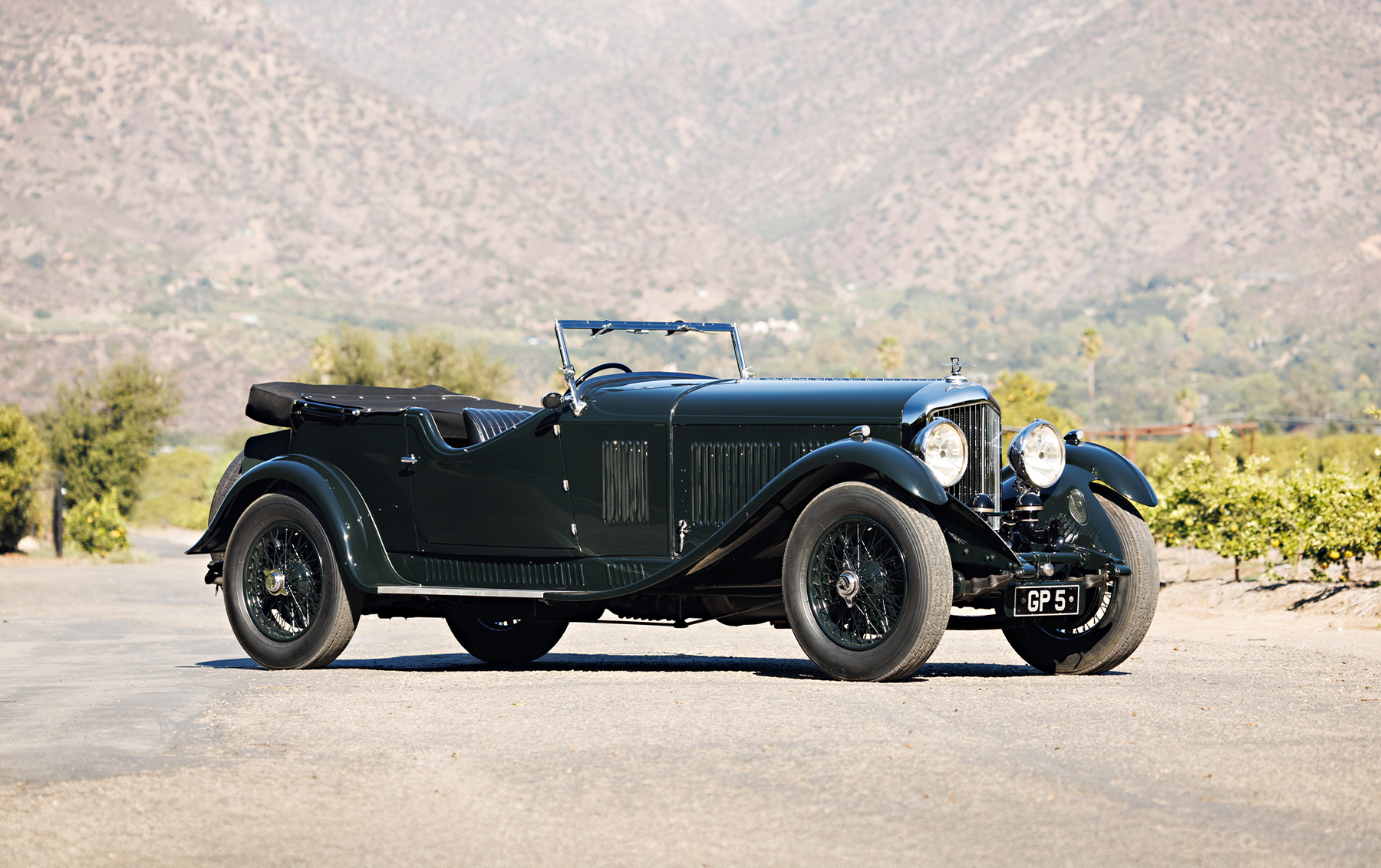 BROWSE ALL LOTS intelligence overview