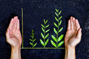 Hands holding tree arranged as a green graph on soil background