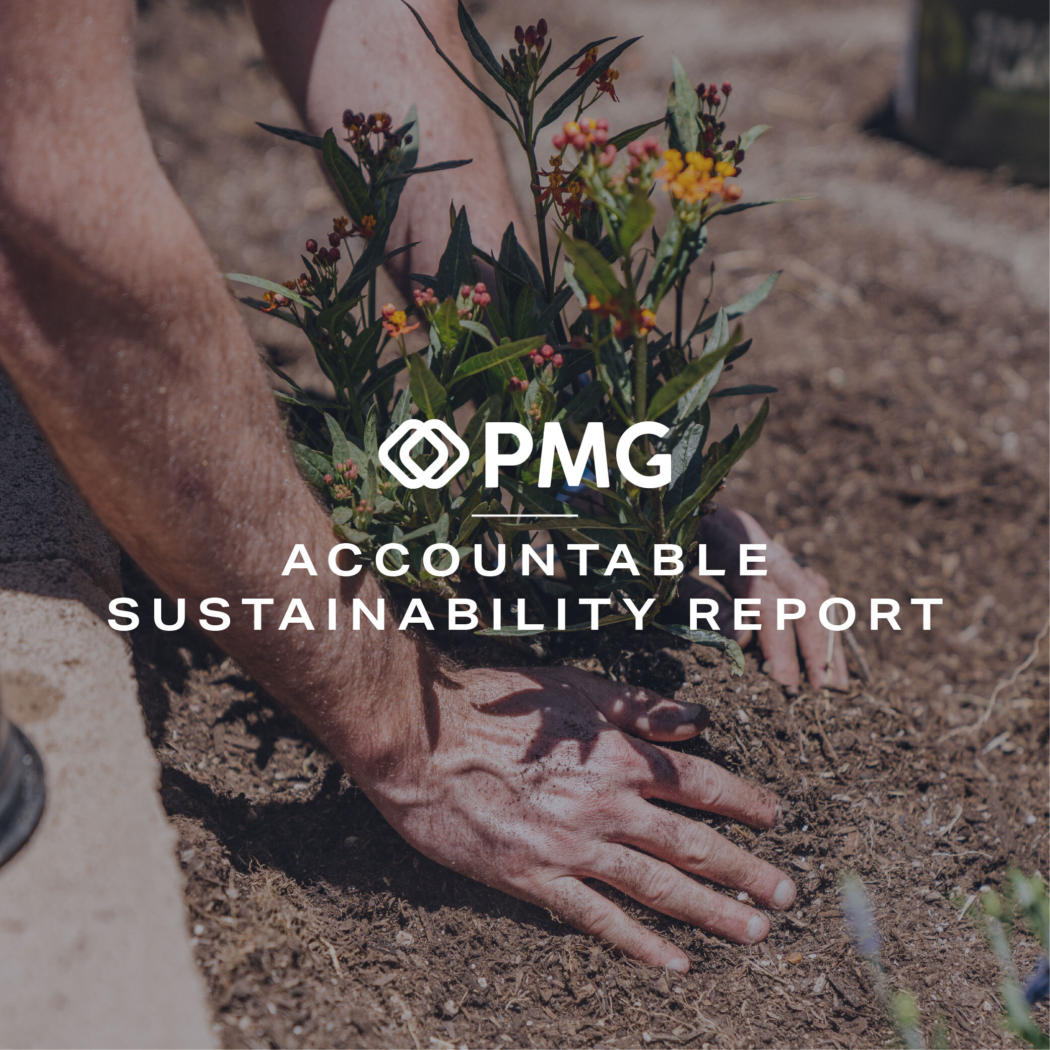PMG Releases First Accountable Sustainability Report