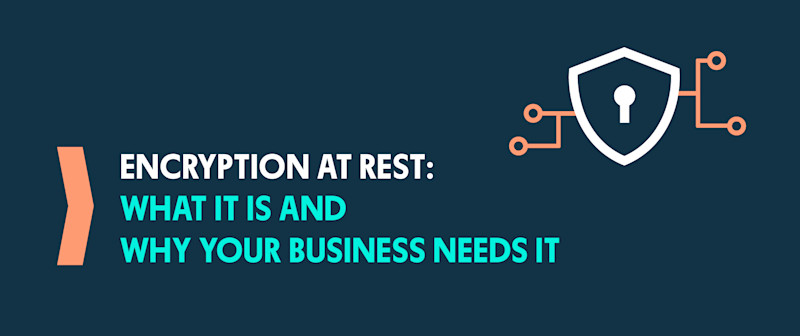Why Encryption at Rest Matters for Your Business