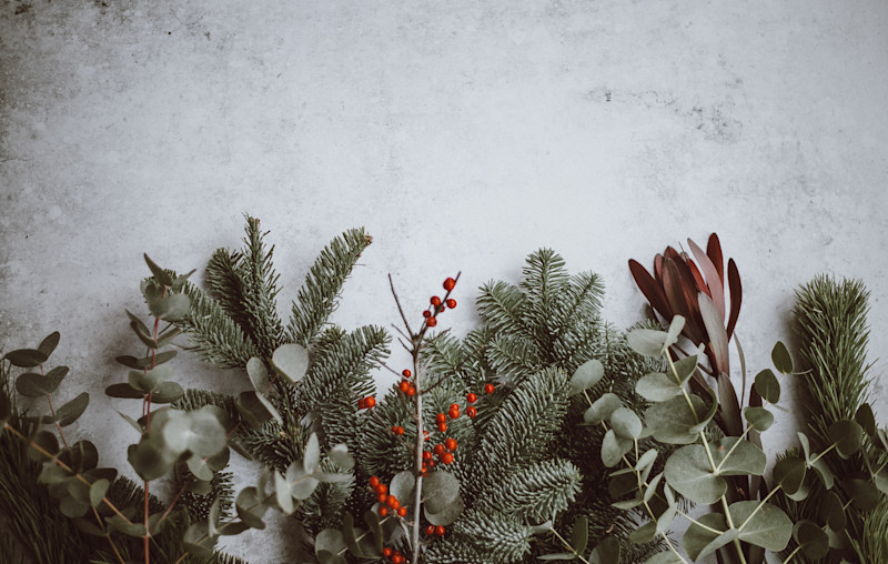 Newsletter: Happy Holidays From Search Guard