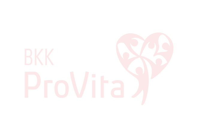 bkk-provita logo