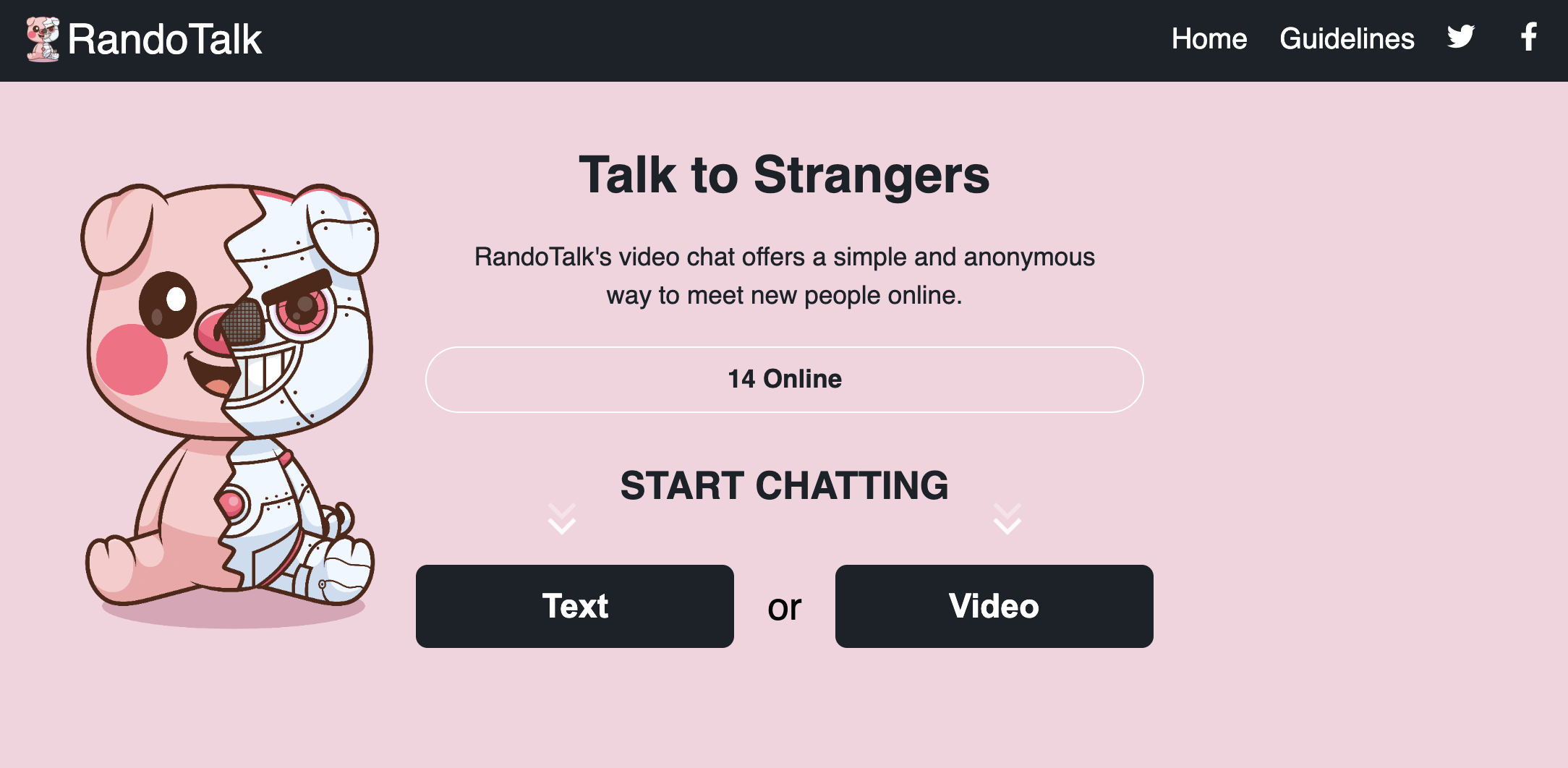 A teddy bear on a pink screen highlights the Randotalk homepage, designed for a high-risk chat application.