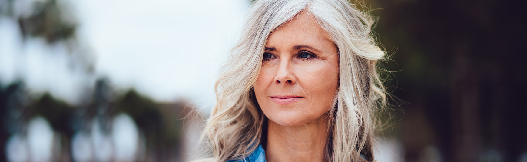Grey Hair Grey Hair