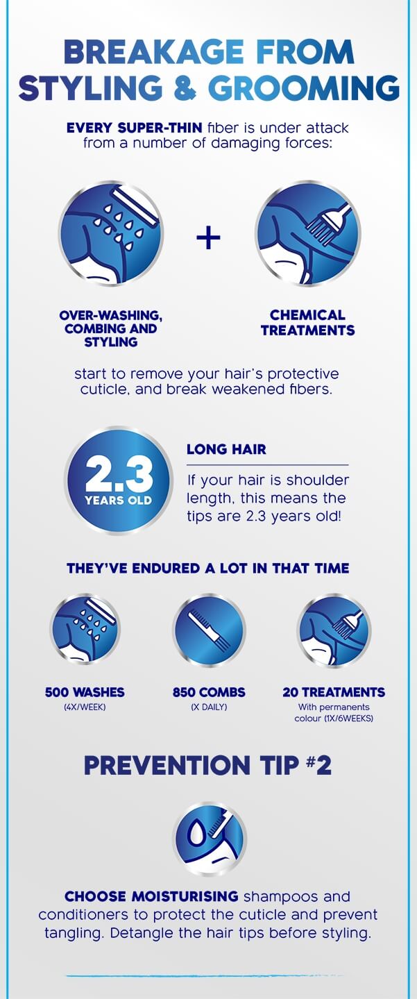 image-avc-dandruff_infographic_full_005_hs-mod-3-fV4DK-image