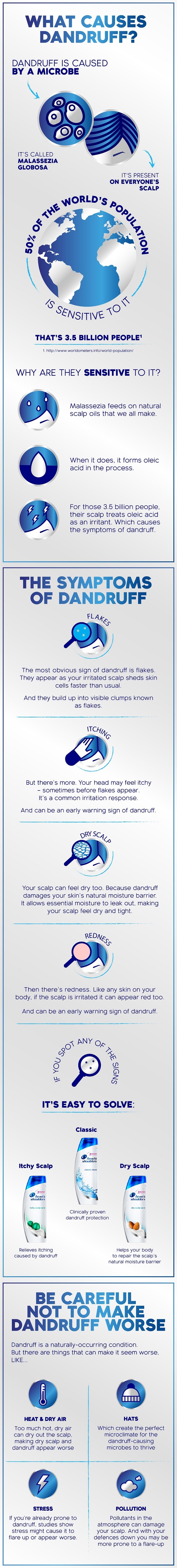 image-avc-dandruff_infographic_full_opt-4DLHc-image